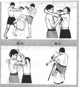 图片9