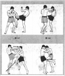 图片16