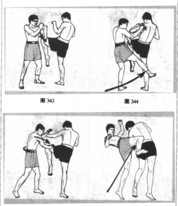 图片15