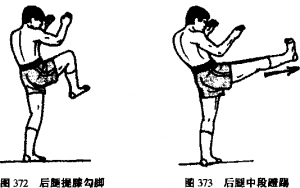 图片36