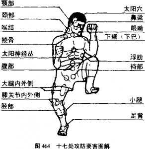 图片1