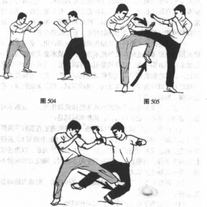 图片32