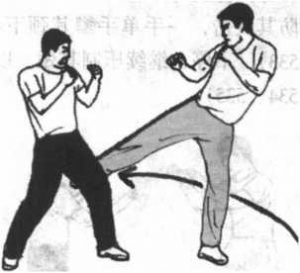 图片44
