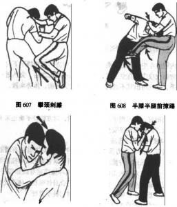 图片95