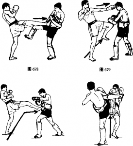 图片14