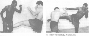 图片31