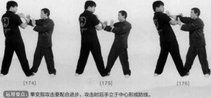 图片48