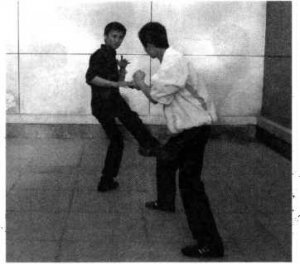 图片16