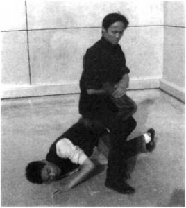 图片10