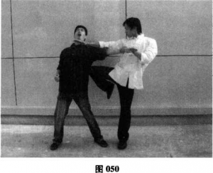 图片50