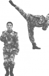 图片121
