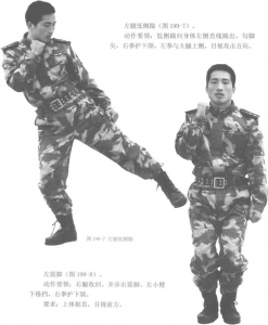 图片122
