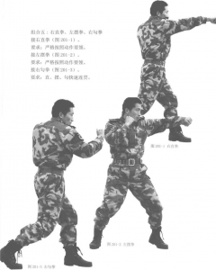 图片126
