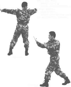 图片139