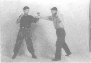 图片47