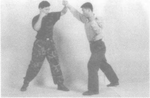 图片48