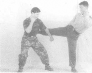 图片50