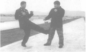 图片66
