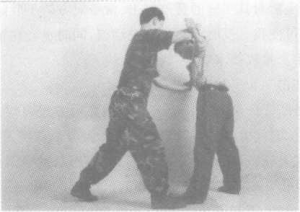 图片168