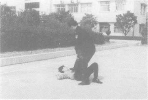 图片230