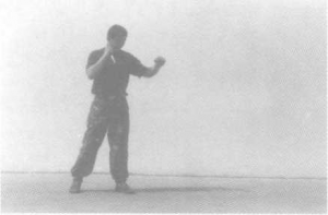 图片86