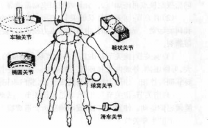 图片171