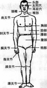 图片174