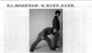 图片225