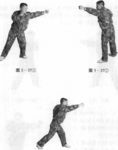 图片293