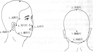图片20