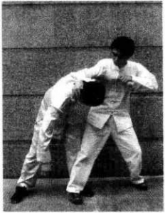 图片88