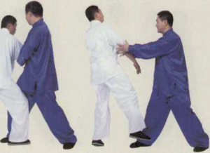 图片31