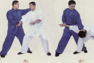图片44