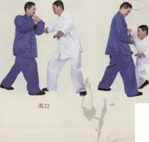 图片51