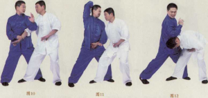 图片81