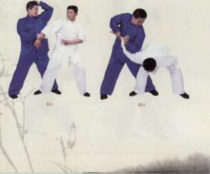 图片86