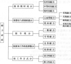 图片22