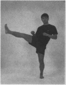 图片33