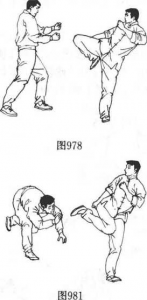 图片36