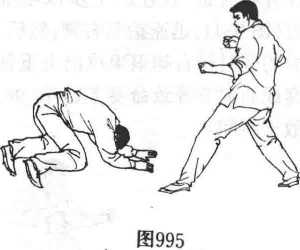 图片8