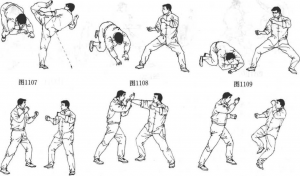 图片79