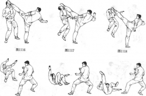 图片83