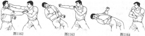 图片114