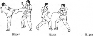 图片46