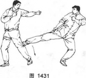 图片15