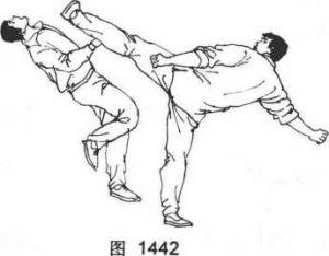 图片21