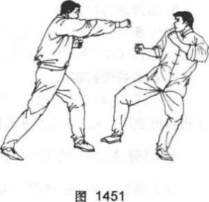 图片31