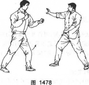 图片48