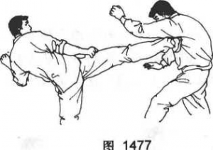 图片47