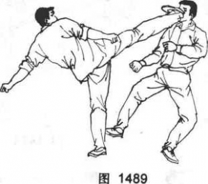 图片56